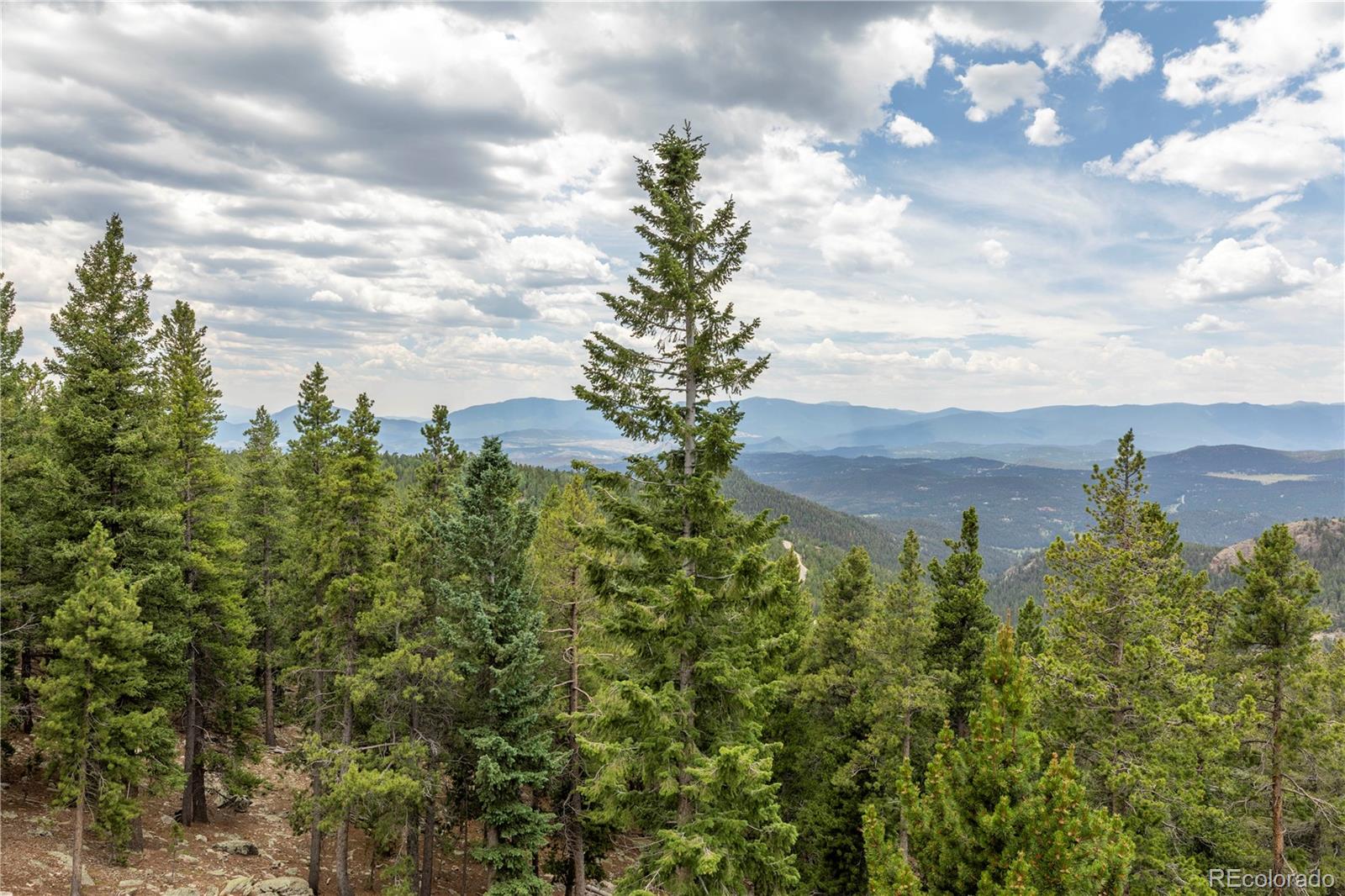 31320 Timothys Trail Conifer CO 80433