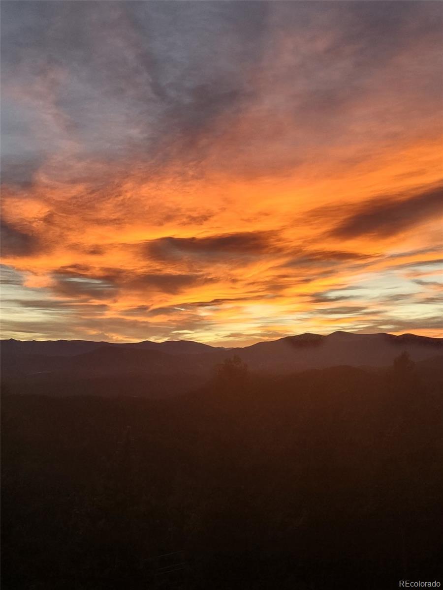 31320 Timothys Trail Conifer CO 80433