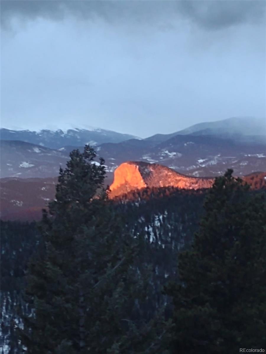31320 Timothys Trail Conifer CO 80433