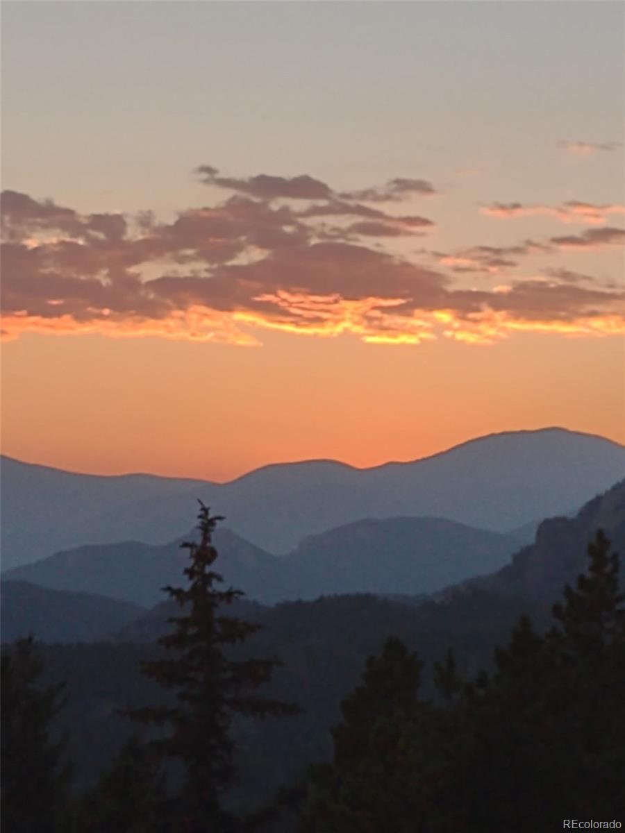 31320 Timothys Trail Conifer CO 80433