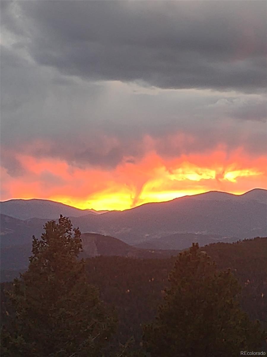 31320 Timothys Trail Conifer CO 80433
