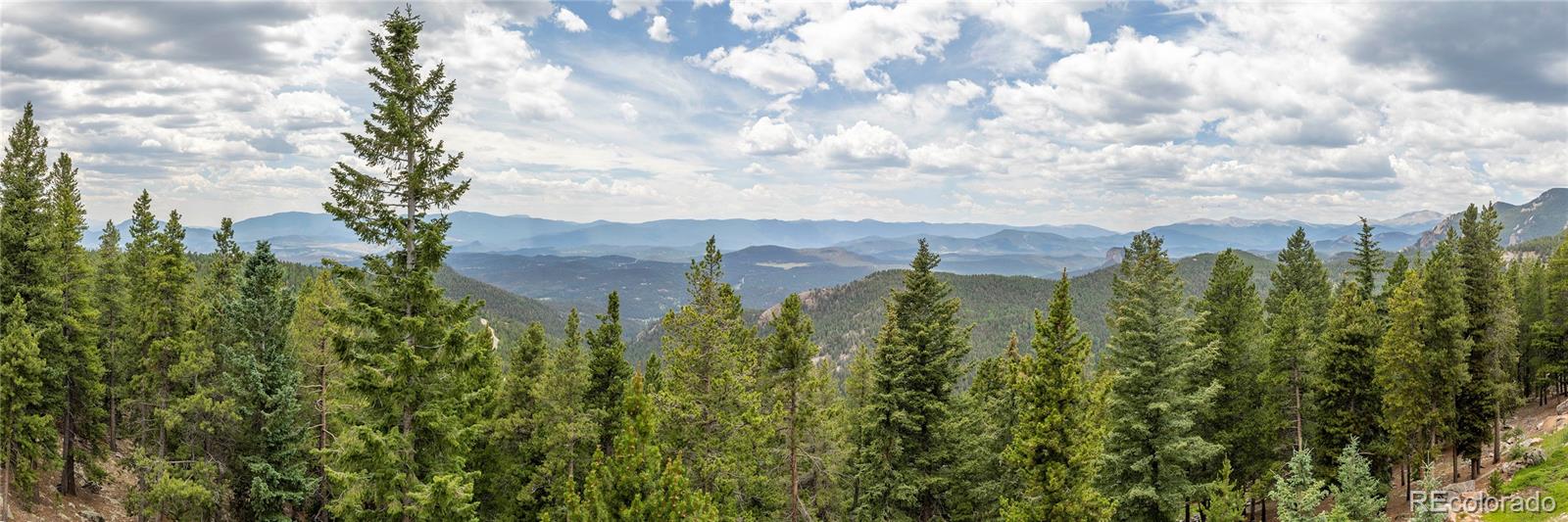 31320 Timothys Trail Conifer CO 80433