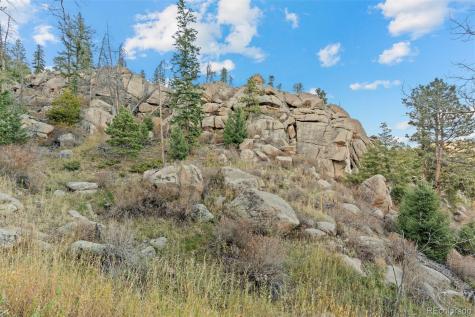 32351 Lodgepole Drive Evergreen CO 80439