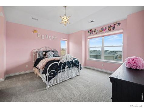 16782 W 95th Lane Arvada CO 80007