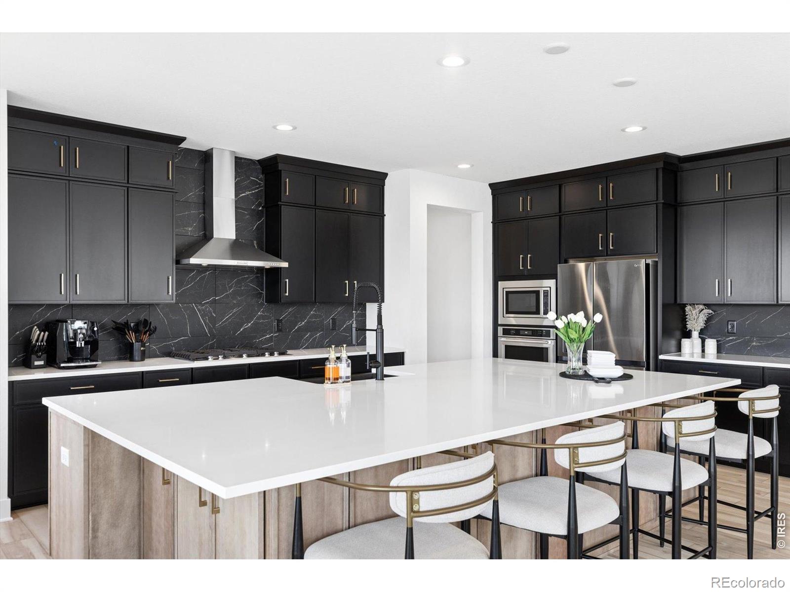 5423 Brotherton Court Castle Rock CO 80104