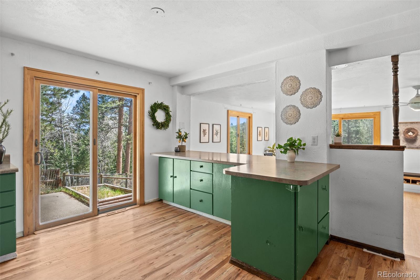 31854 Ponderosa Way Evergreen CO 80439