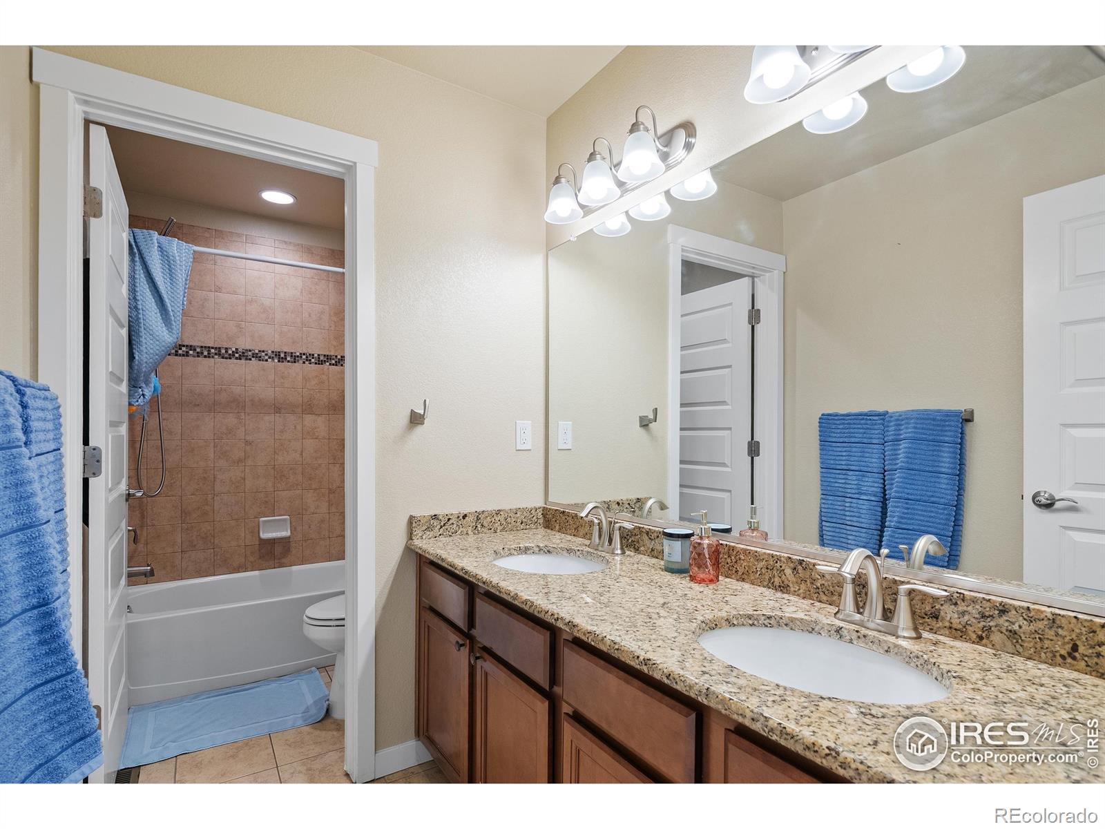 1577 Sierra Plaza Street Severance CO 80550