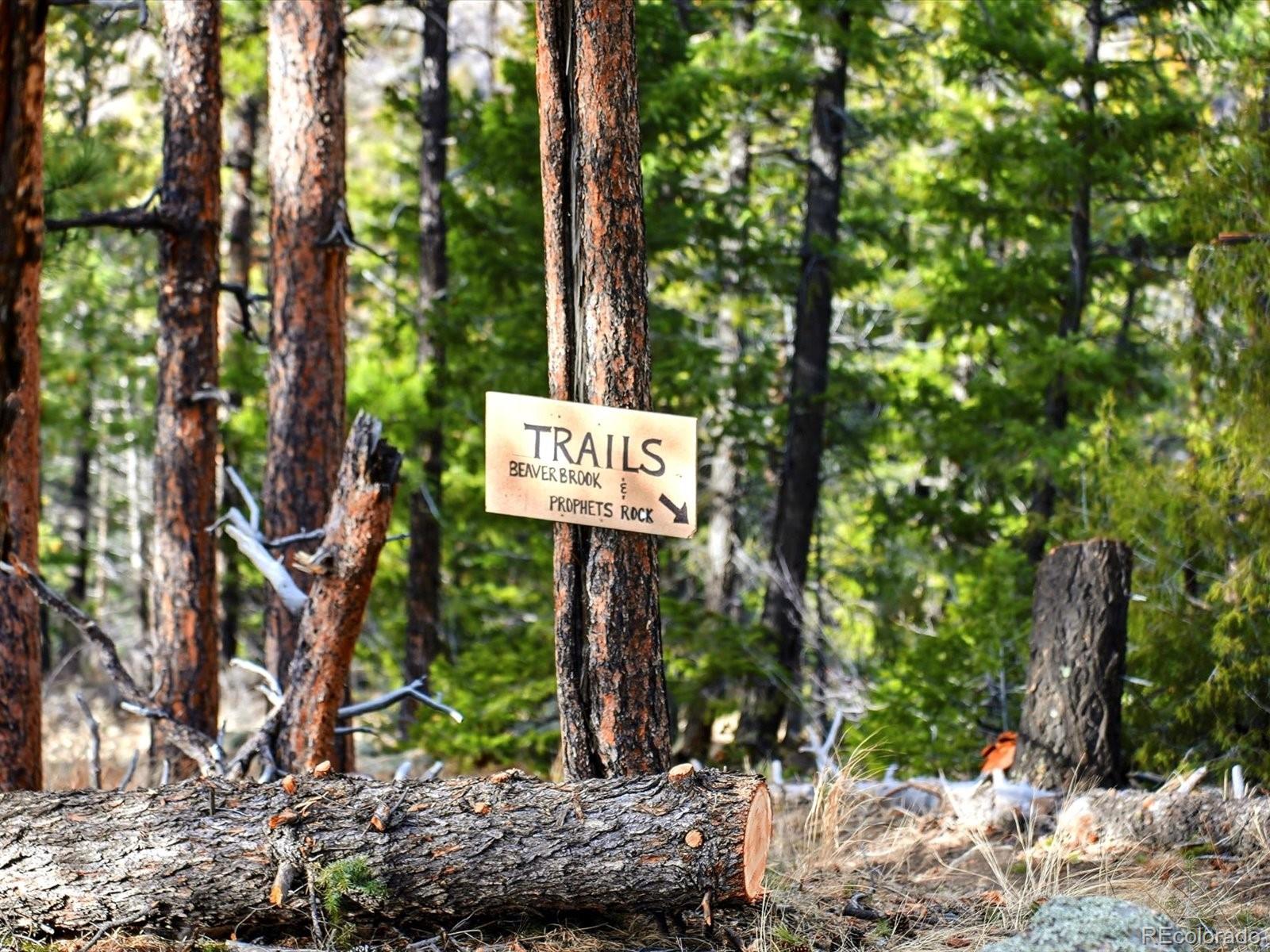 290 Skyhill Drive Evergreen CO 80439