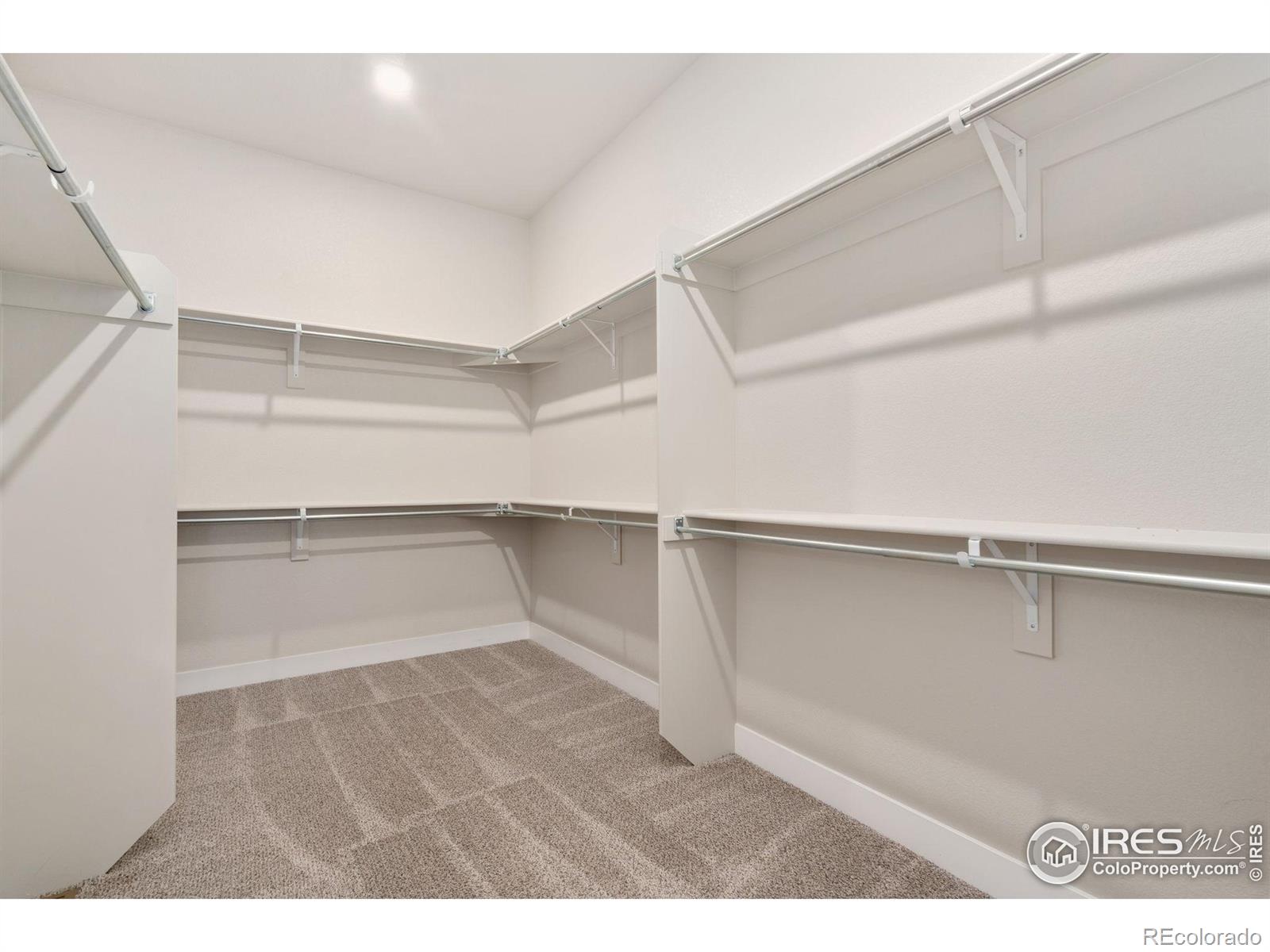 1232 Kitchel Lake Parkway Timnath CO 80547