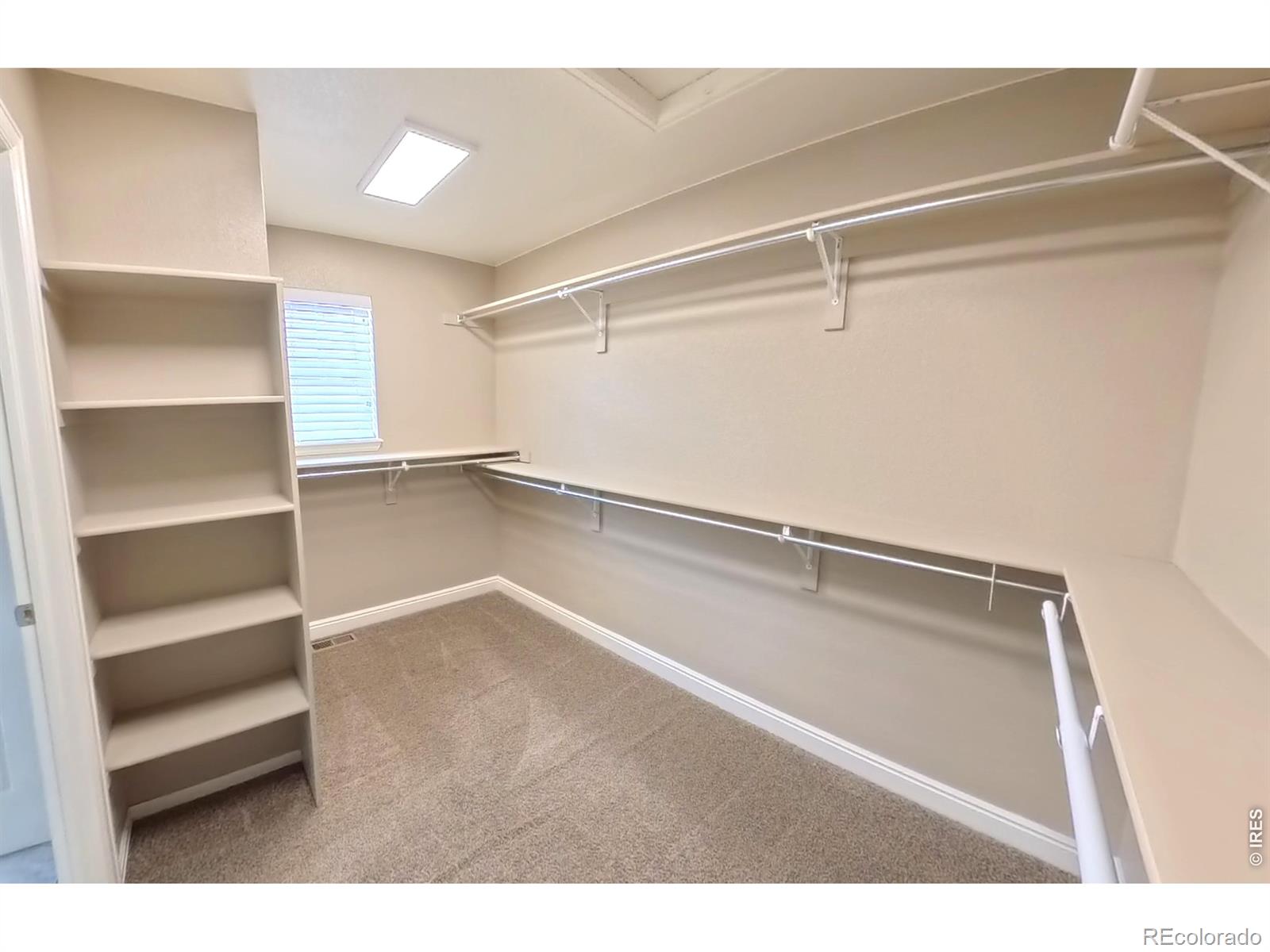 10434 Bluegrass Street Firestone CO 80504