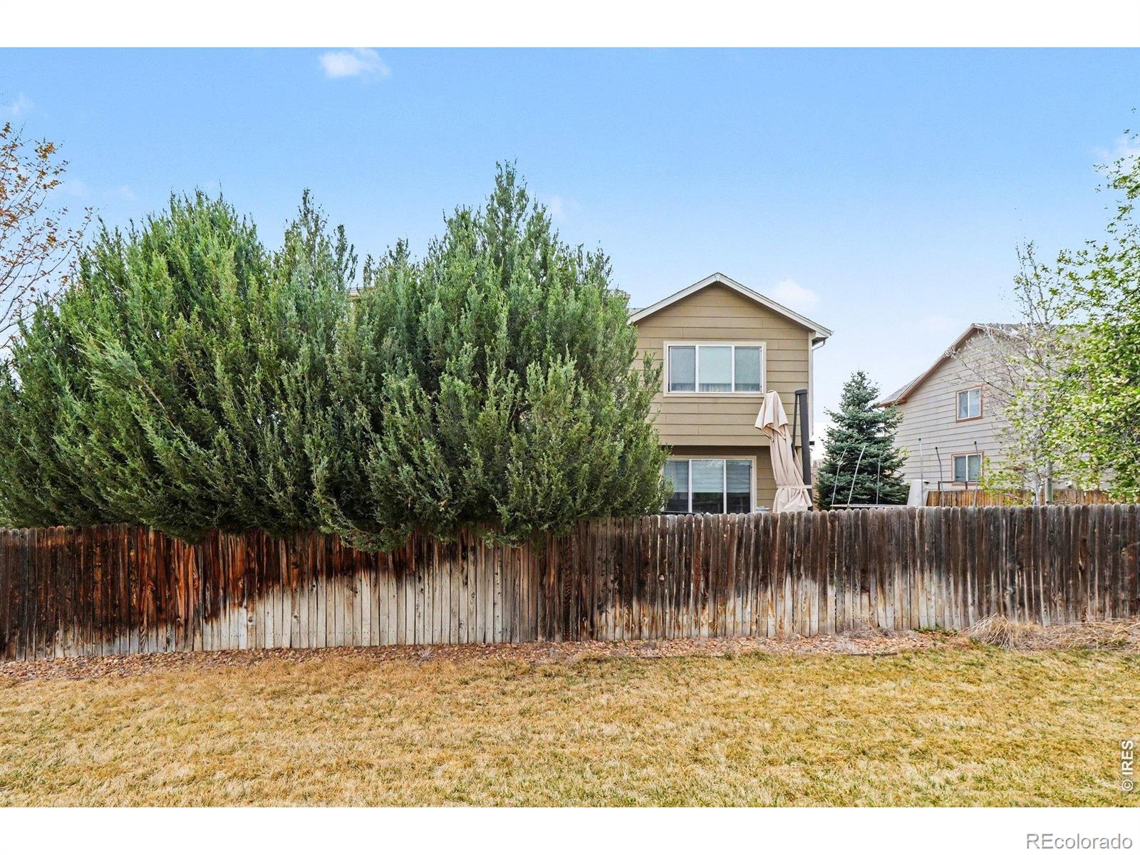 13003 Niagara Street Thornton CO 80602