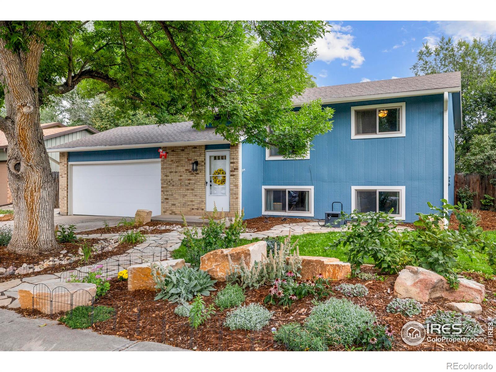 924 Vanderbilt Court Fort Collins CO 80525