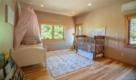 30485 National Forest Drive Buena Vista CO 81211