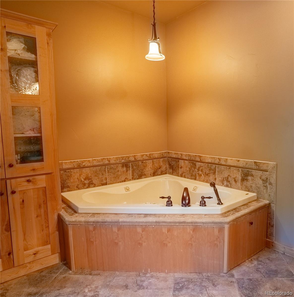 30485 National Forest Drive Buena Vista CO 81211