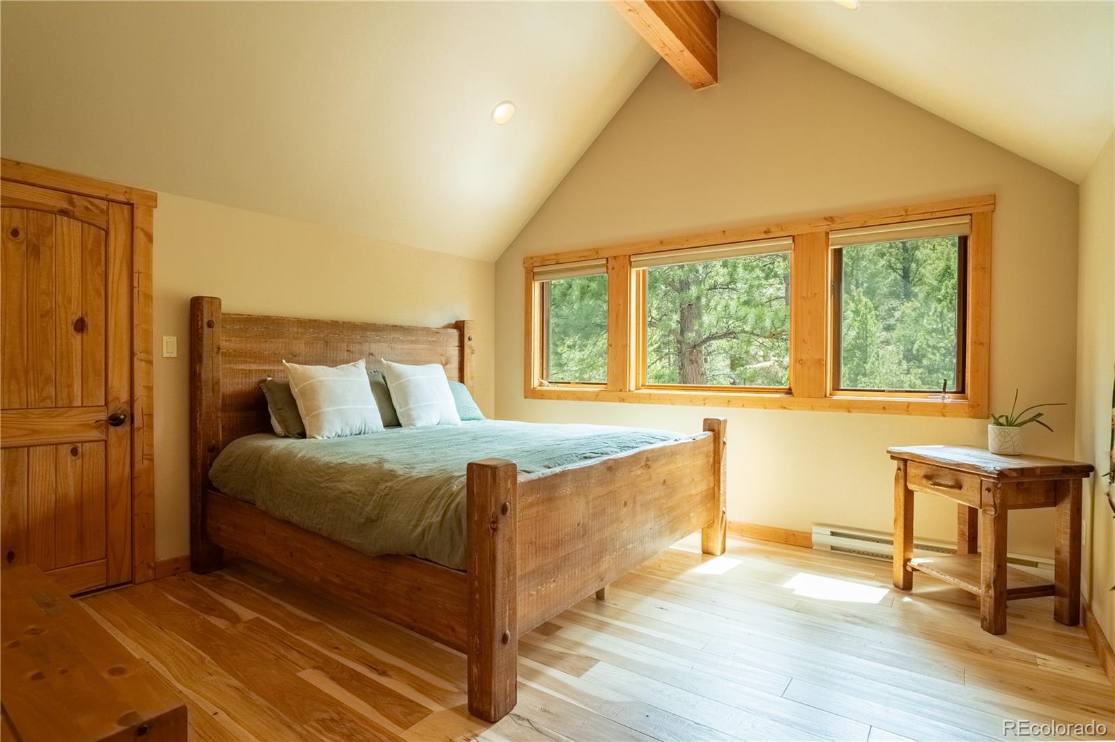 30485 National Forest Drive Buena Vista CO 81211