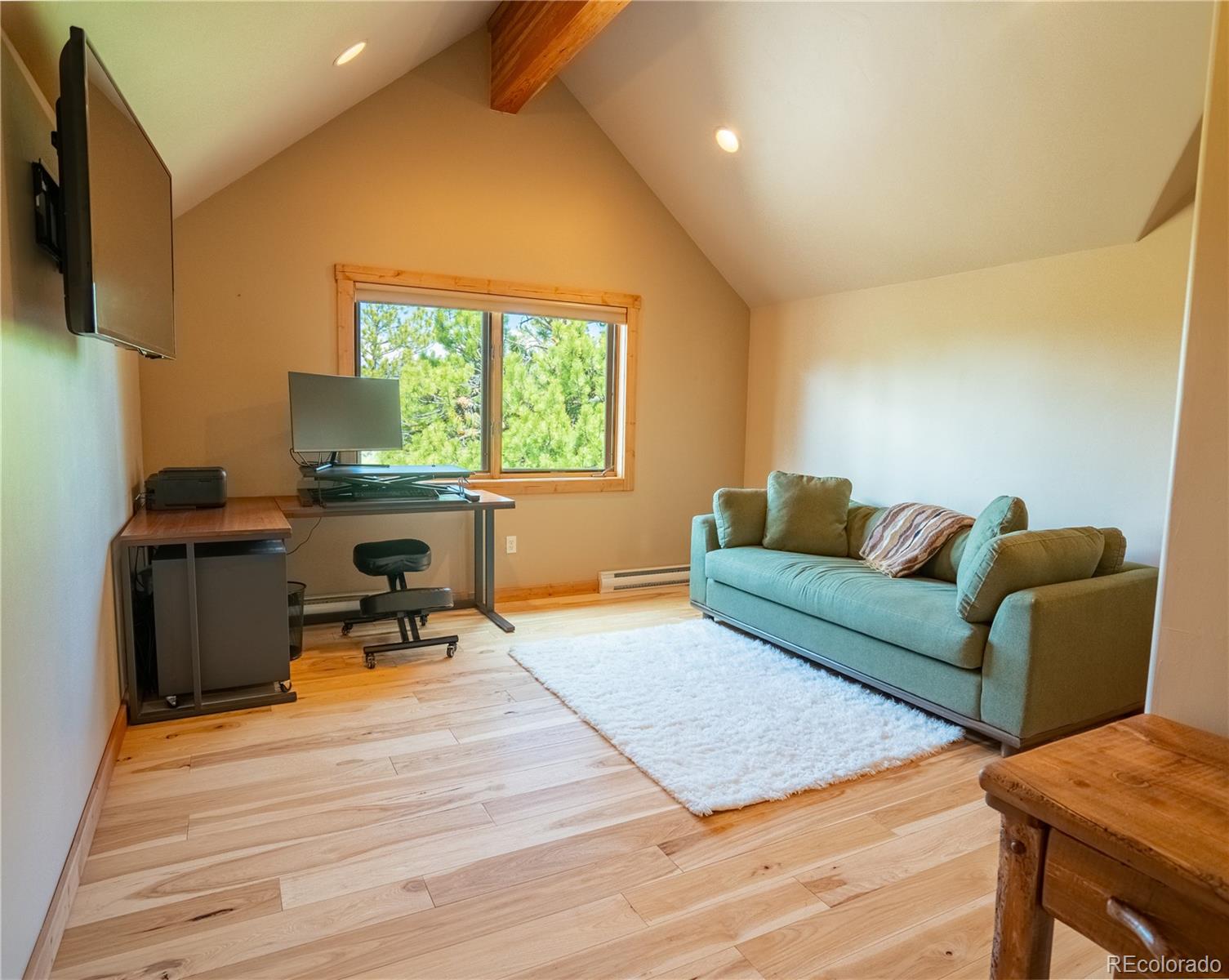 30485 National Forest Drive Buena Vista CO 81211