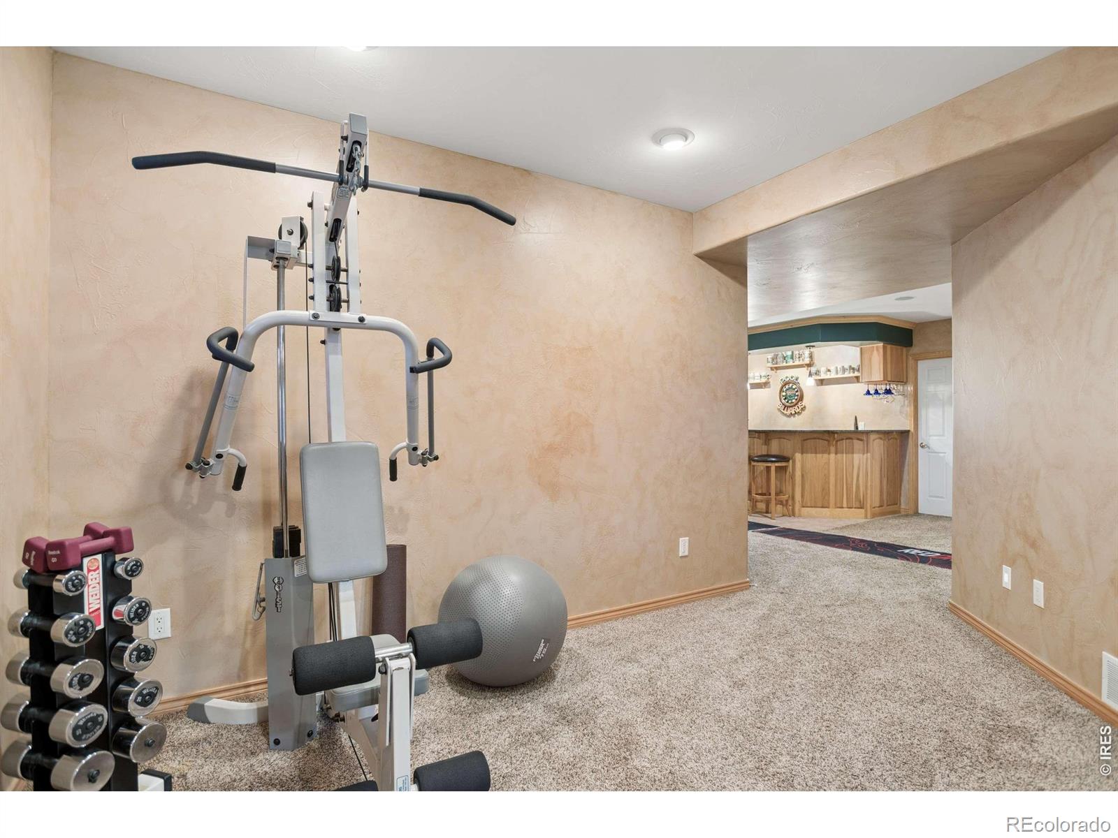 3795 Whitetail Court Mead CO 80542