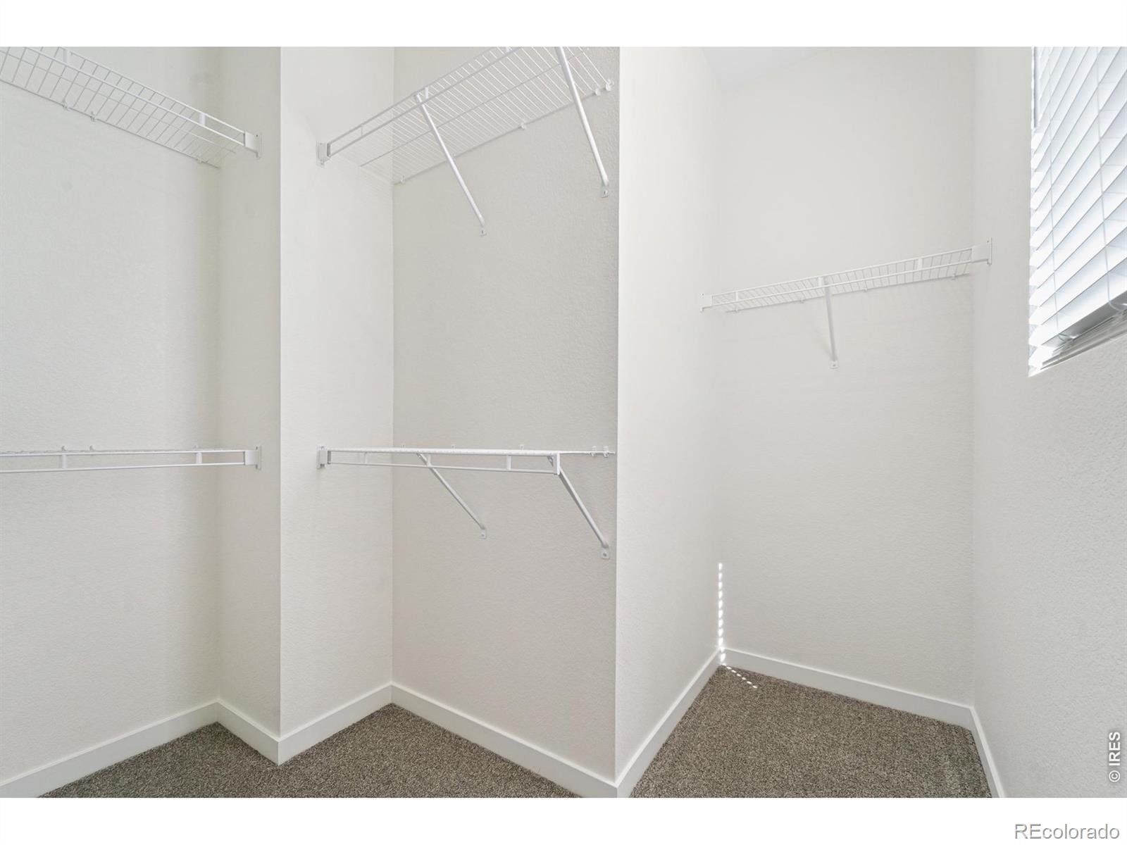 3901 Kenai Street Evans CO 80620
