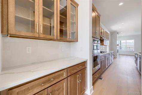 634 Leafy Aster Lane Castle Rock CO 80104