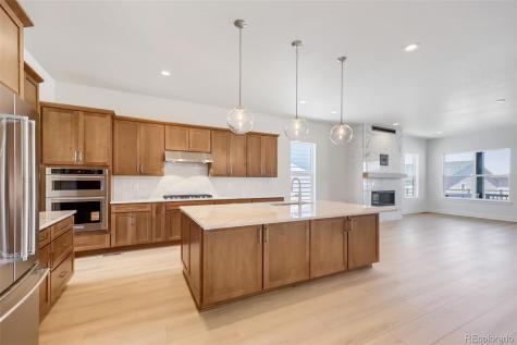 634 Leafy Aster Lane Castle Rock CO 80104