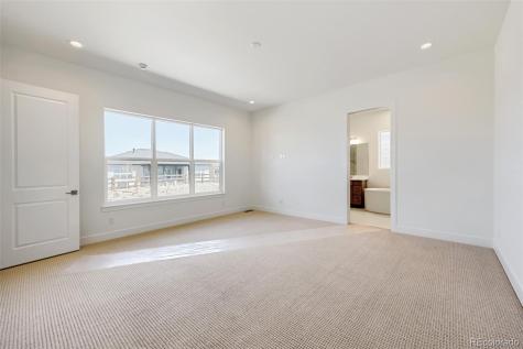 634 Leafy Aster Lane Castle Rock CO 80104
