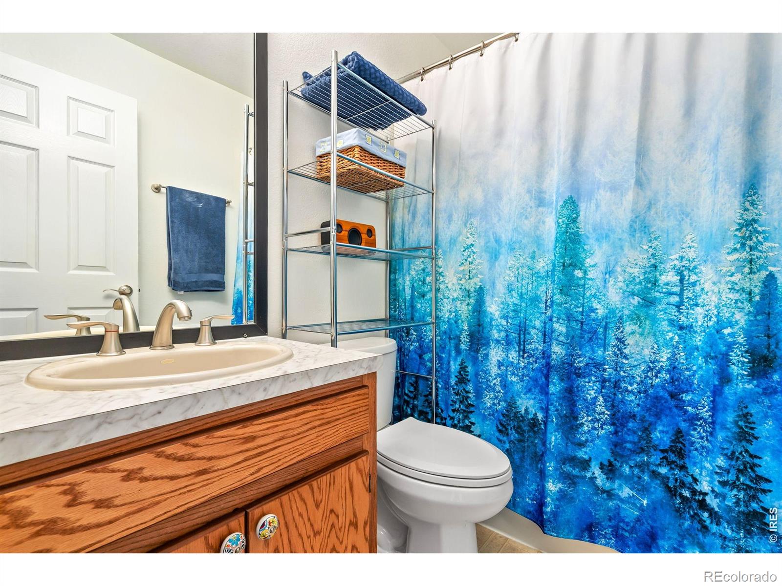 236 Mescalero Drive Red Feather Lakes CO 80545