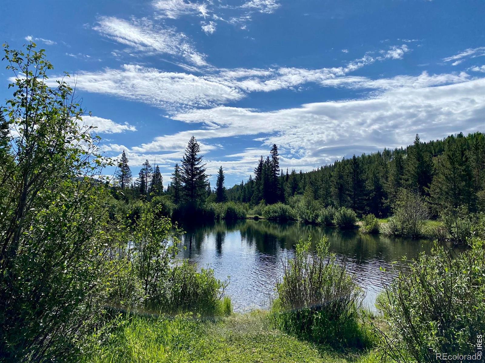 236 Mescalero Drive Red Feather Lakes CO 80545
