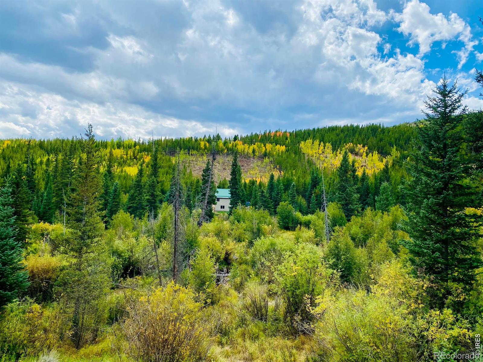 236 Mescalero Drive Red Feather Lakes CO 80545