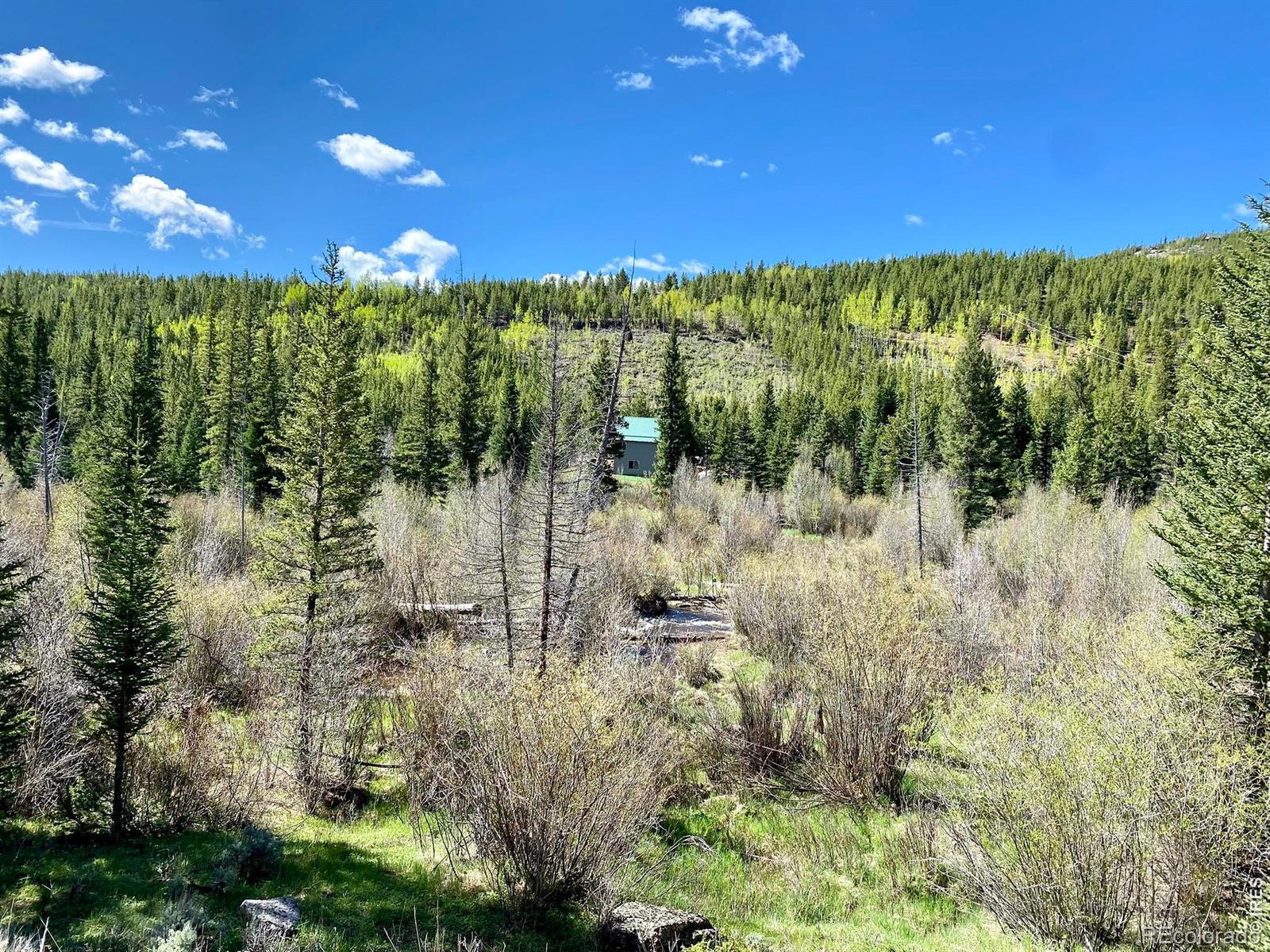 236 Mescalero Drive Red Feather Lakes CO 80545