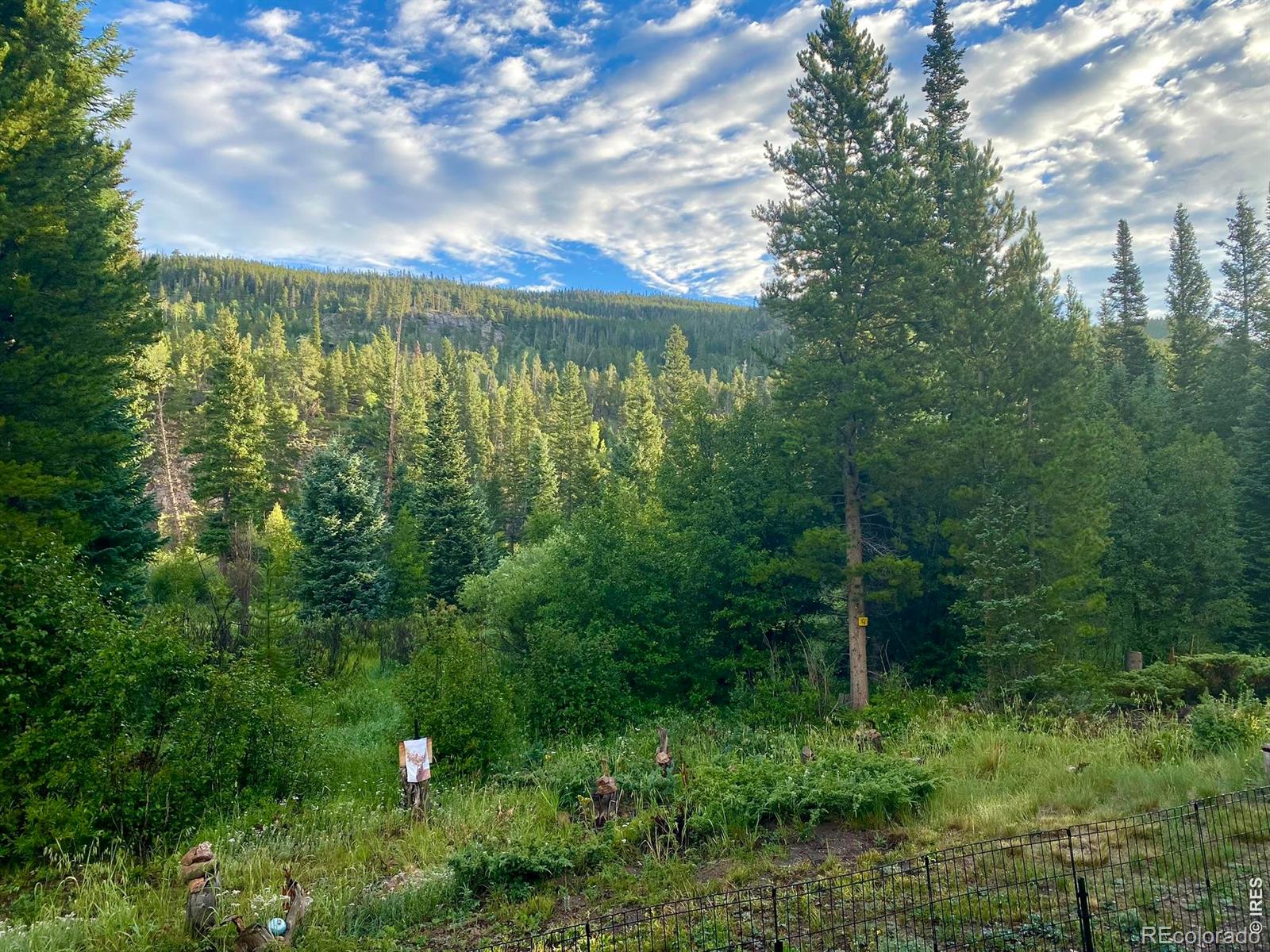 236 Mescalero Drive Red Feather Lakes CO 80545