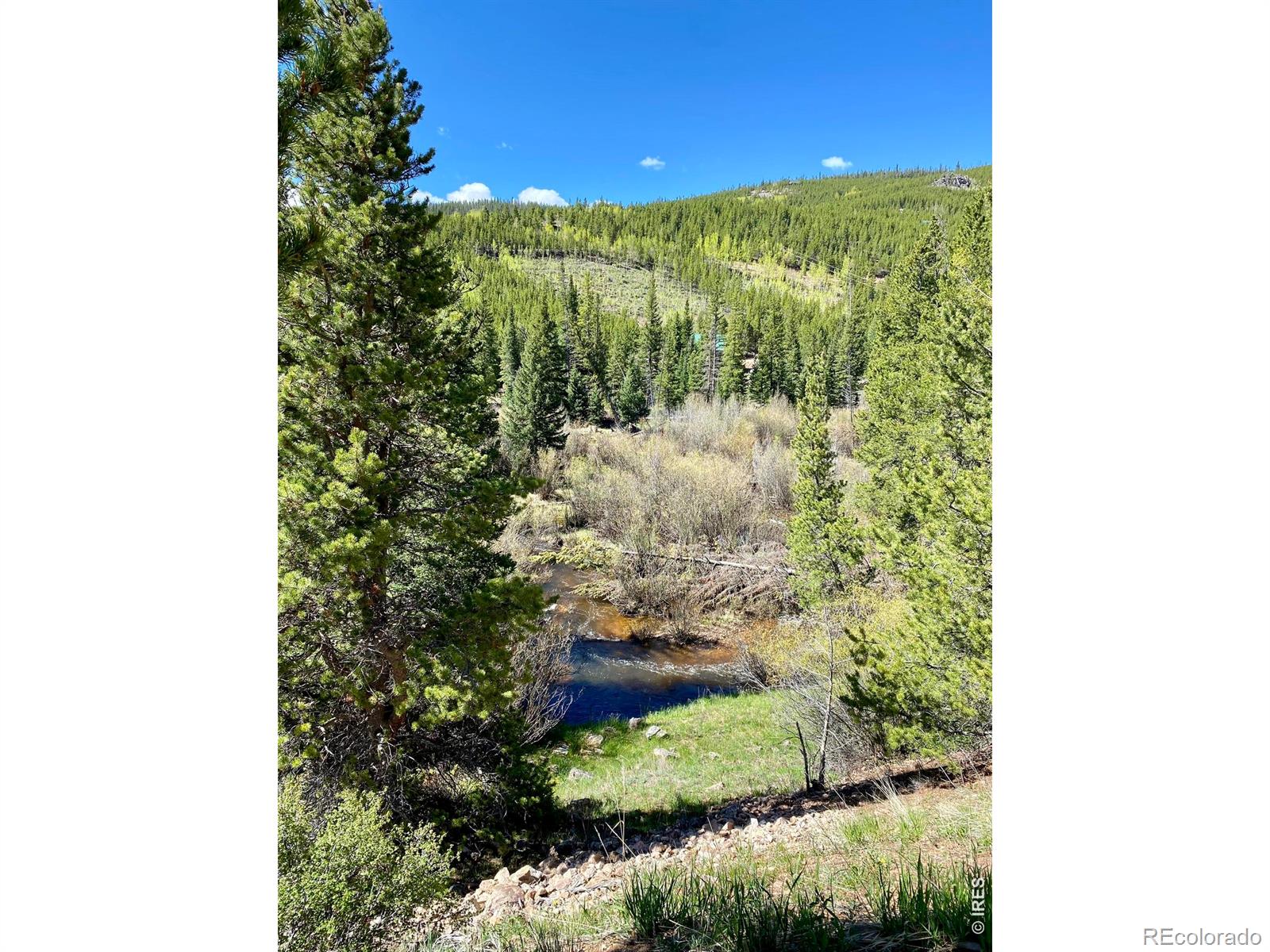 236 Mescalero Drive Red Feather Lakes CO 80545