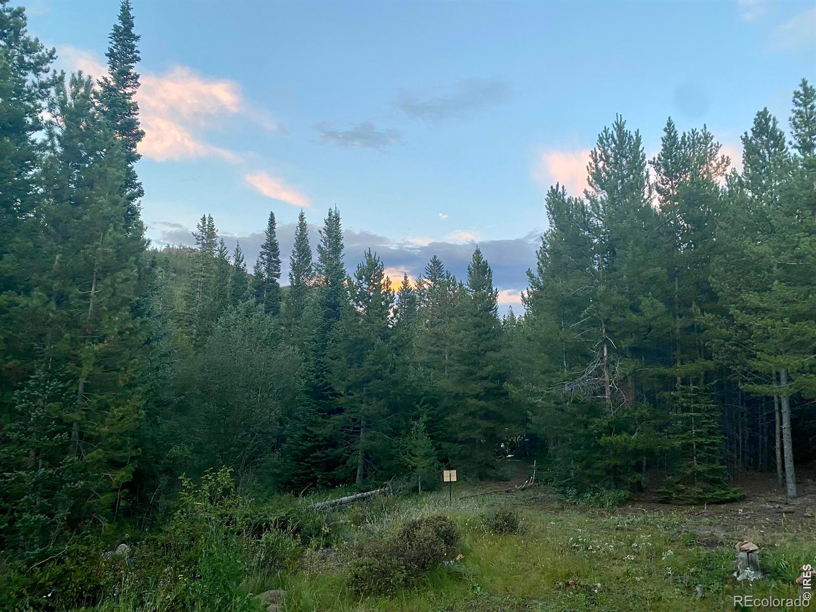 236 Mescalero Drive Red Feather Lakes CO 80545