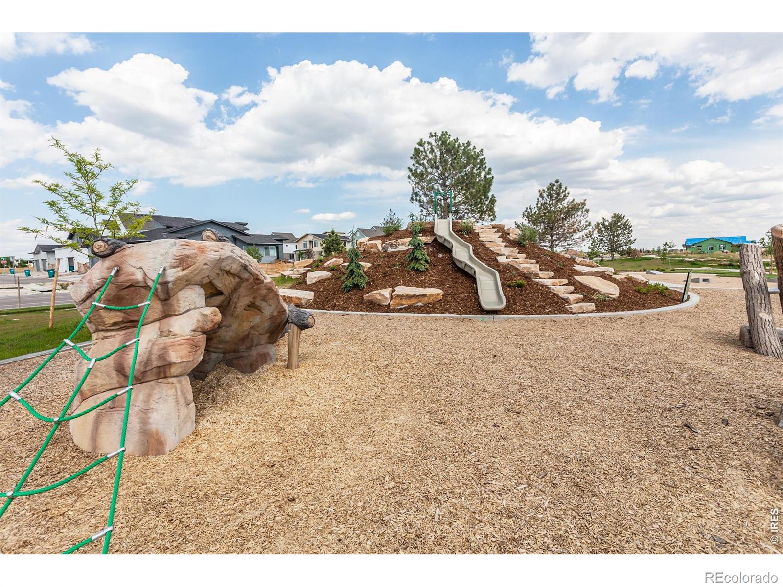 5417 Yancy Street Timnath CO 80547