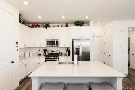 8962 Larose Court Parker CO 80134