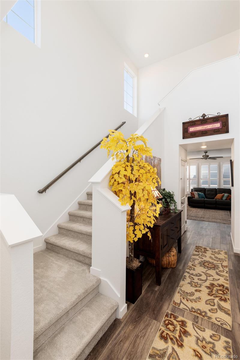 8962 Larose Court Parker CO 80134