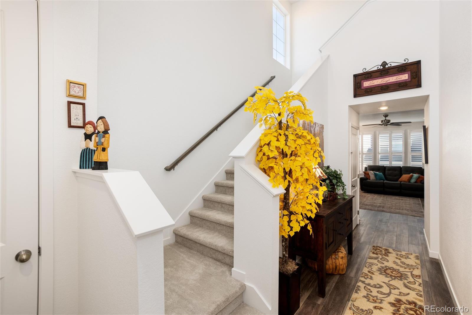 8962 Larose Court Parker CO 80134