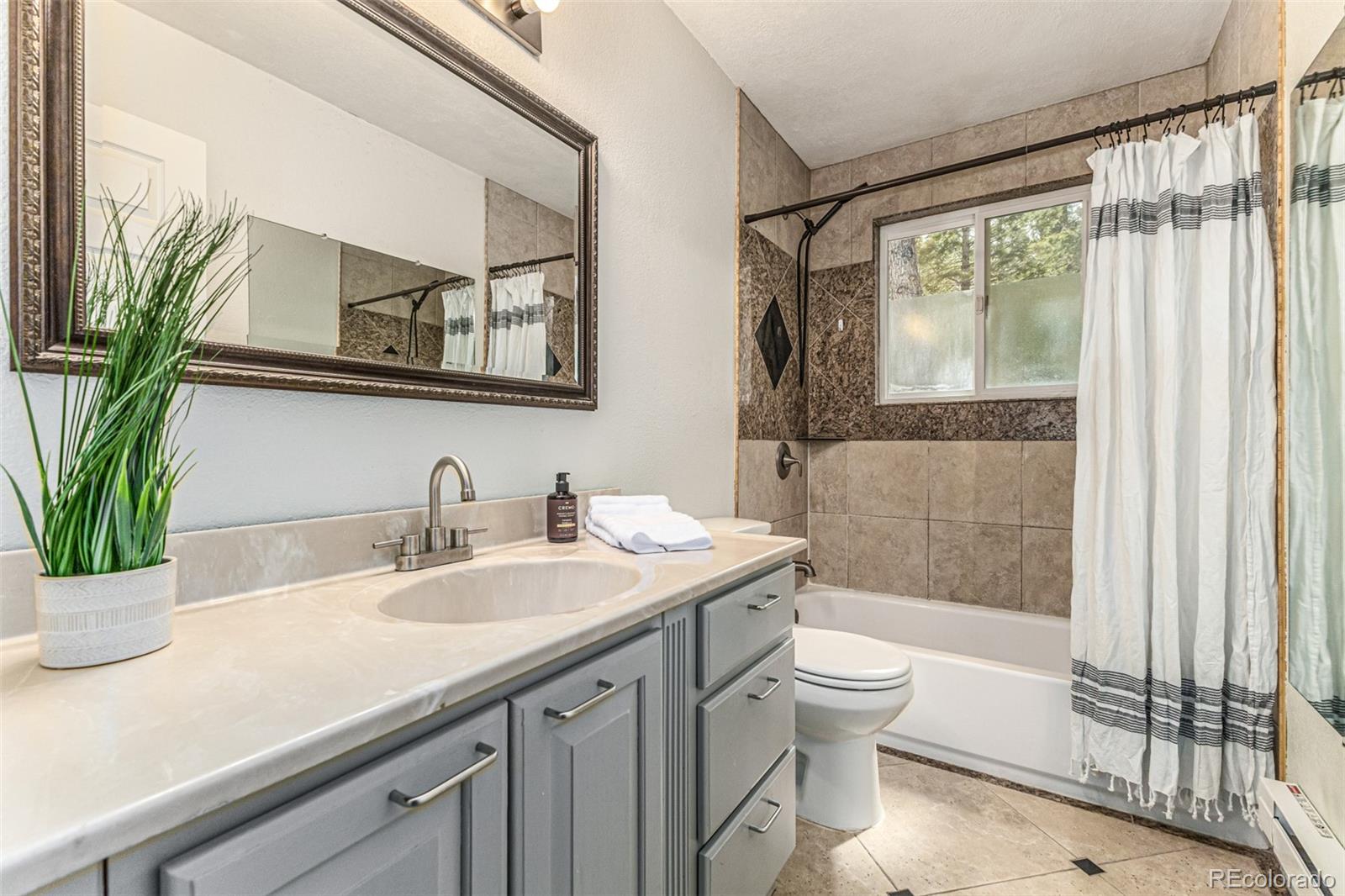 1462 Burland Drive Bailey CO 80421