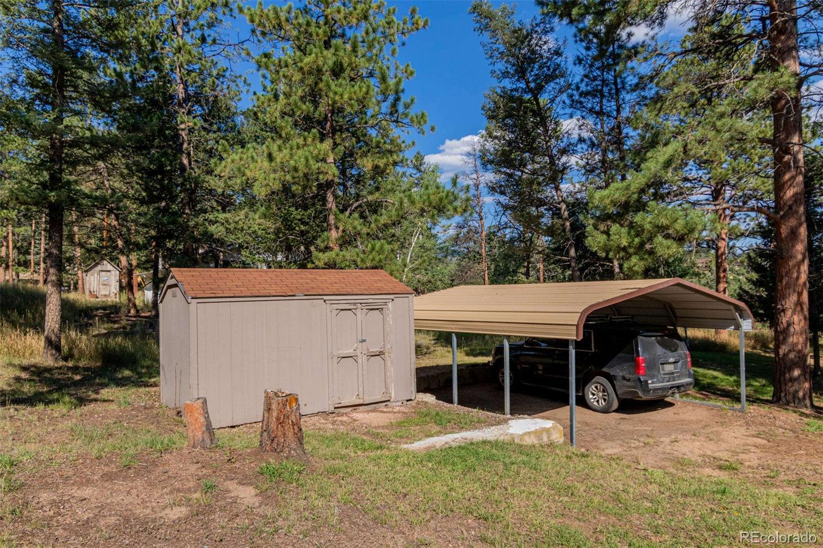 1462 Burland Drive Bailey CO 80421
