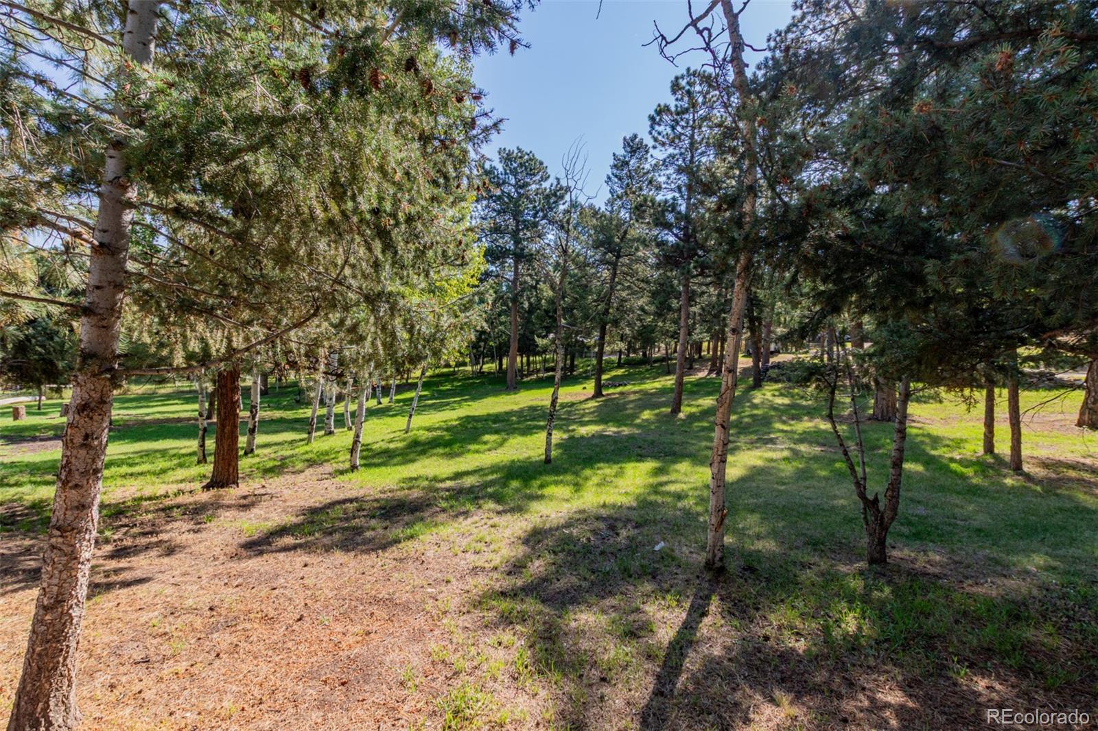 1462 Burland Drive Bailey CO 80421