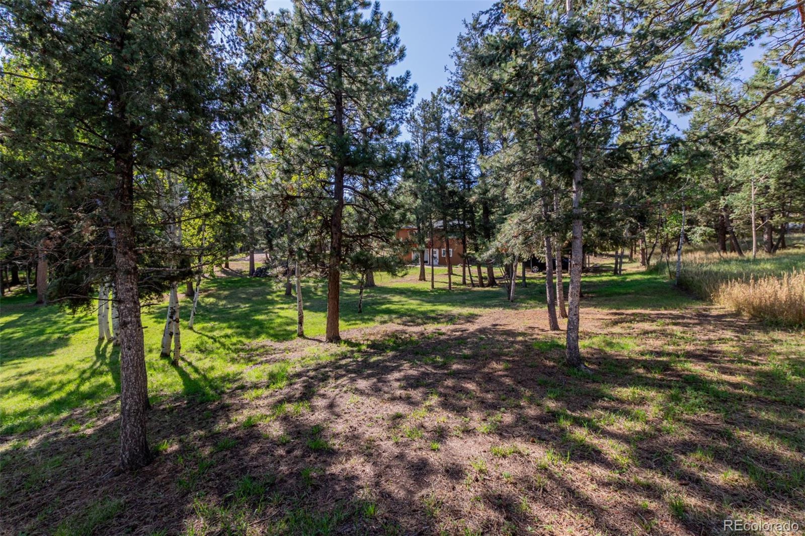 1462 Burland Drive Bailey CO 80421
