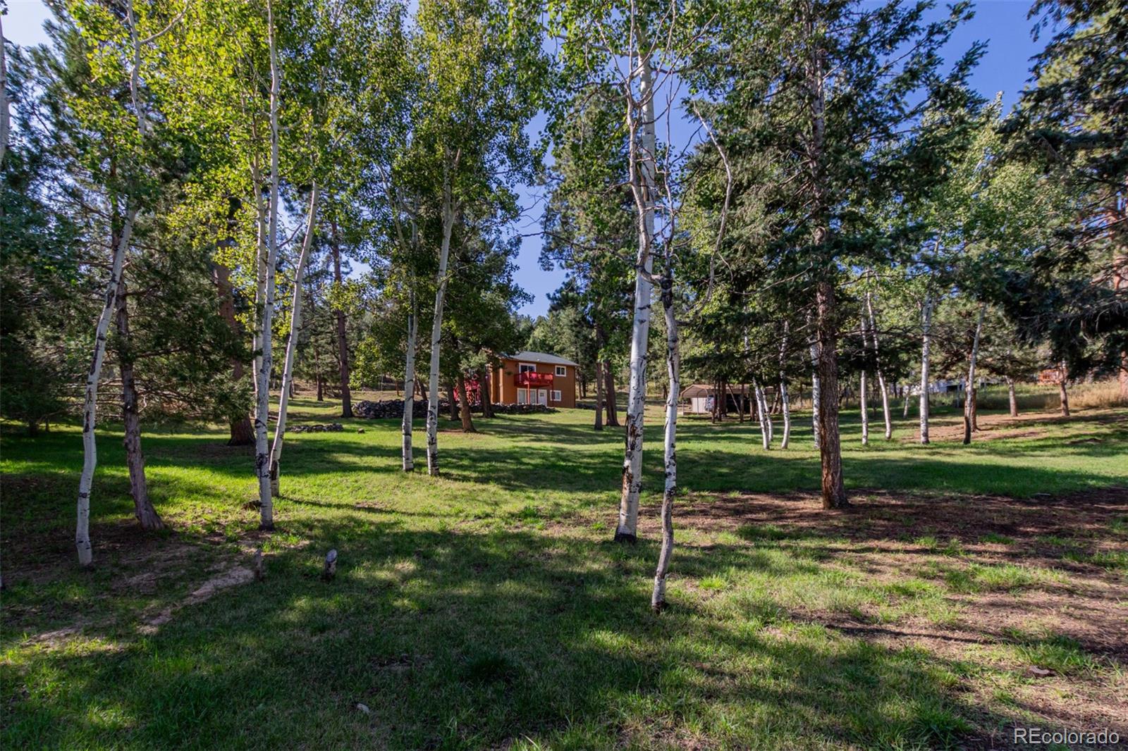 1462 Burland Drive Bailey CO 80421