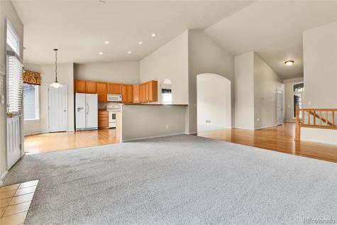 1034 Halfmoon Drive Castle Rock CO 80104