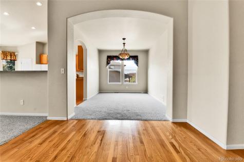 1034 Halfmoon Drive Castle Rock CO 80104