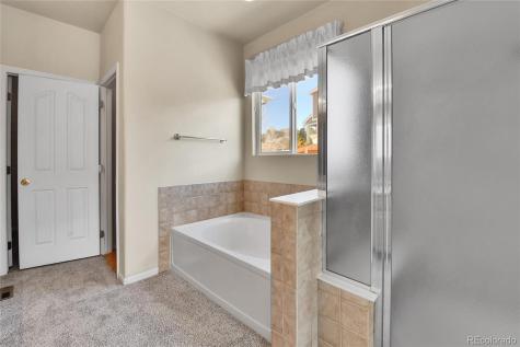 1034 Halfmoon Drive Castle Rock CO 80104
