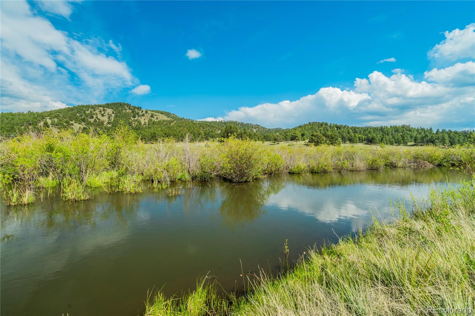 224 Lakeview Forest Heights Florissant CO 80816