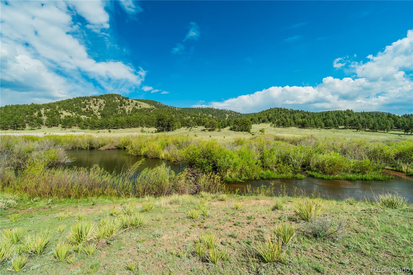 224 Lakeview Forest Heights Florissant CO 80816