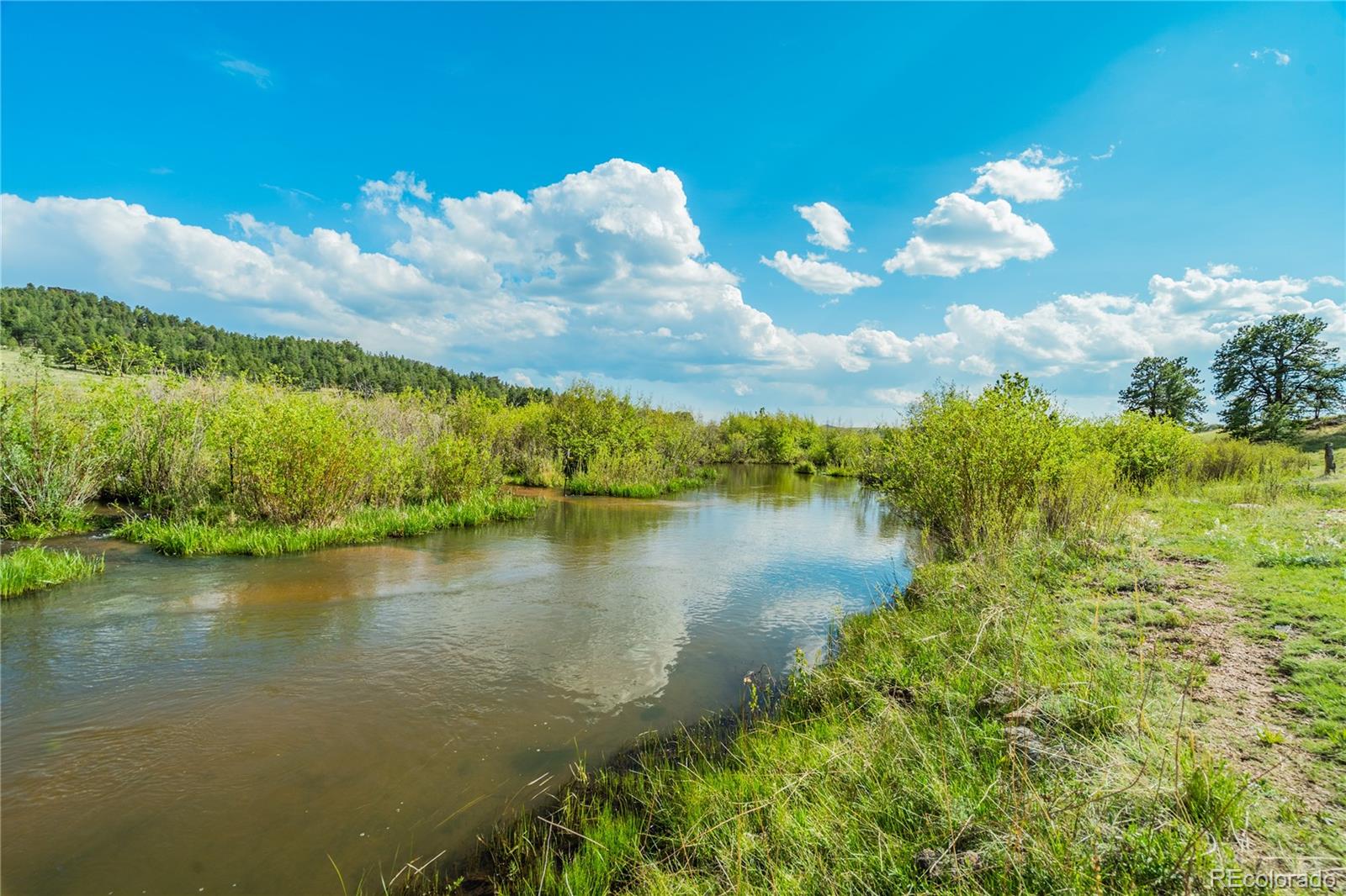 224 Lakeview Forest Heights Florissant CO 80816