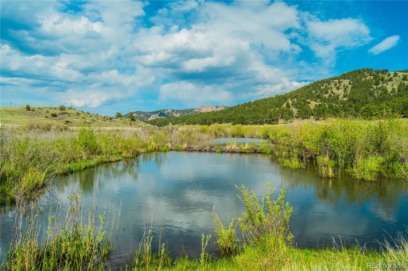 224 Lakeview Forest Heights Florissant CO 80816