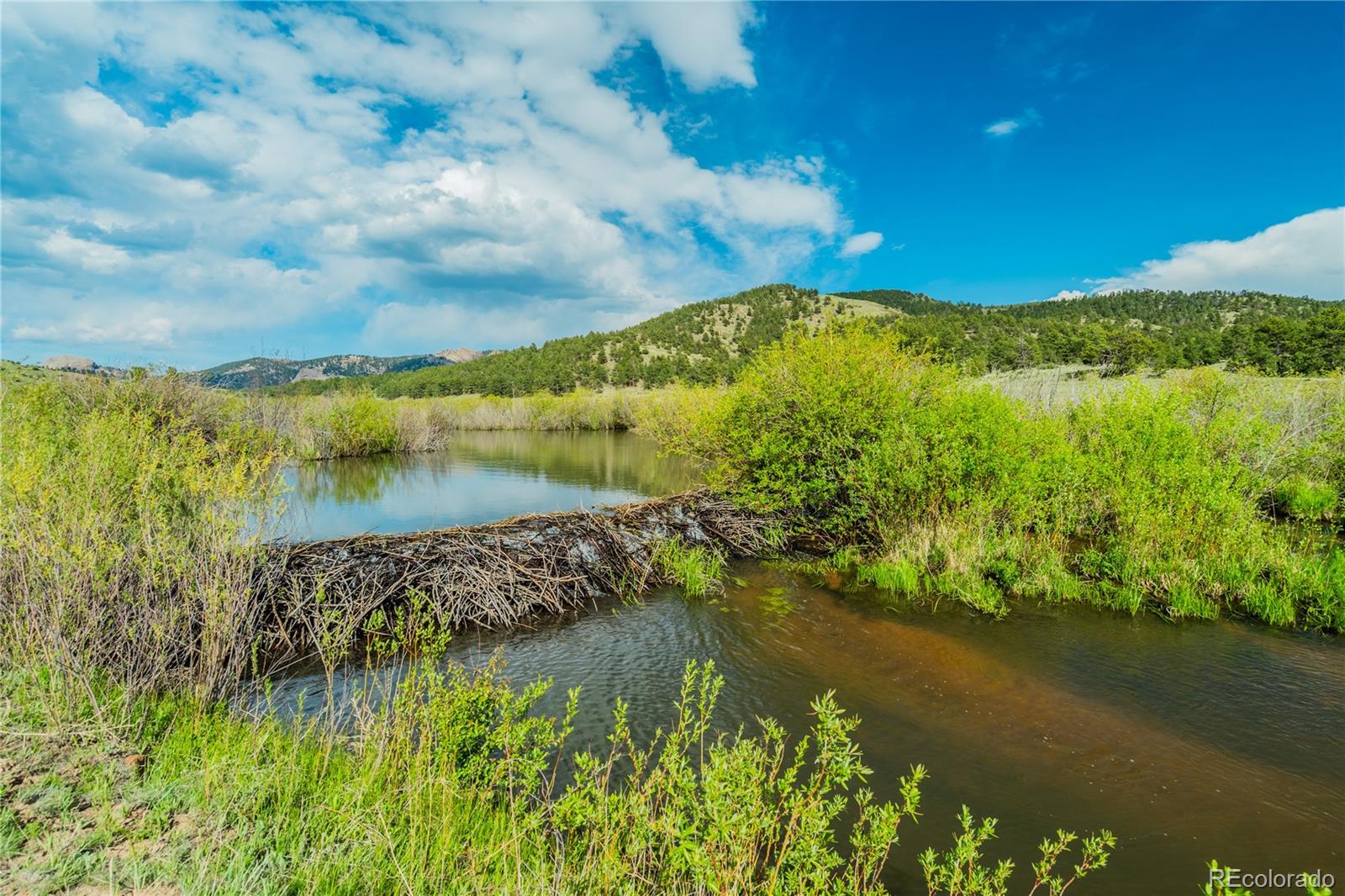 224 Lakeview Forest Heights Florissant CO 80816