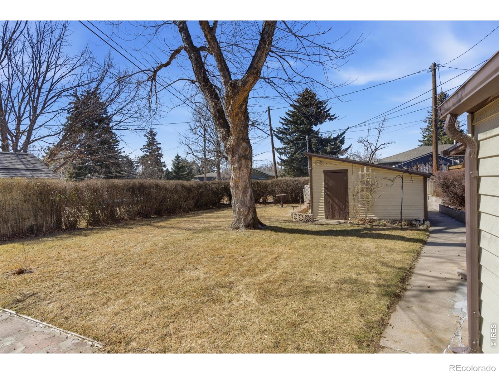 1143 Harrison Avenue Loveland CO 80537